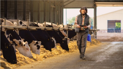 Cloud computing in agritech - Agritech Software Development Services - Lemberg Solutions.jpg